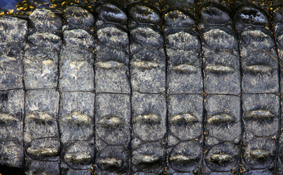 Similar image 1542373