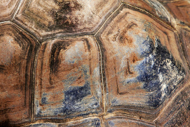 Similar image 1542374