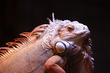 Similar image 1542376