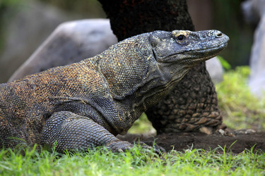 Similar image 1542377