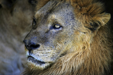 Similar image 1542381