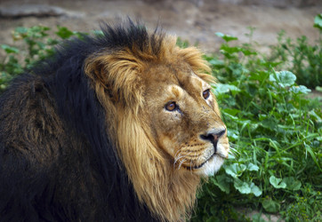 Similar image 1542389