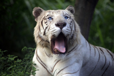 Similar image 1542395