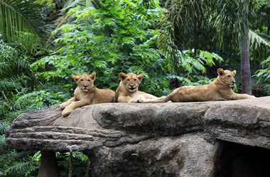 Similar image 1542401