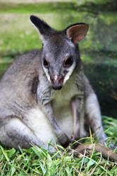 Similar image 1542405