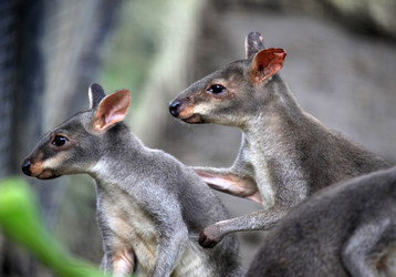 Similar image 1542407