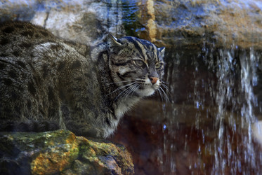 Similar image 1542410