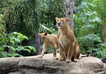 Similar image 1542411