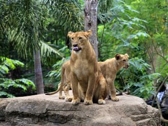 Similar image 1542412