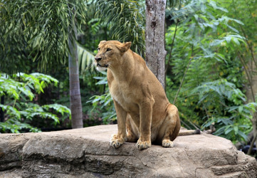 Similar image 1542413