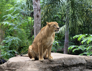 Similar image 1542414