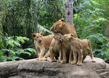 Similar image 1542416