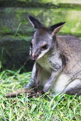 Similar image 1542418