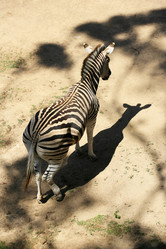 Similar image 1542423