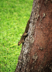 Similar image 1542426