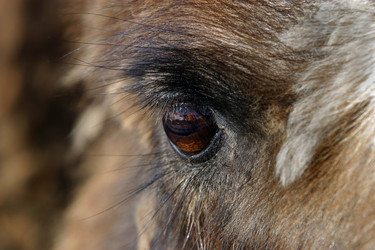 Similar image 1542432