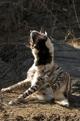 Similar image 1542433