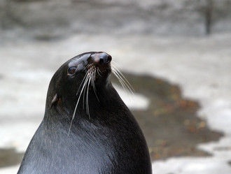 Similar image 1542434