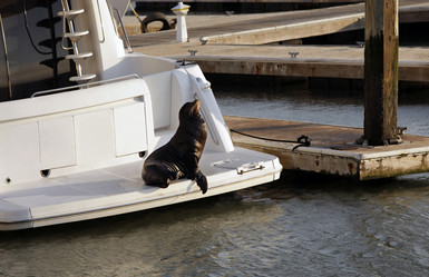 Similar image 1542436