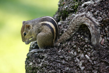 Similar image 1542438