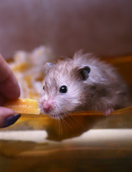 Similar image 1542442