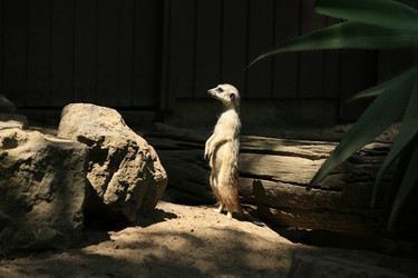 Similar image 1542443