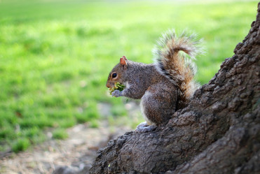 Similar image 1542444