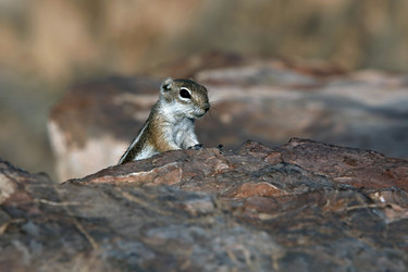 Similar image 1542446