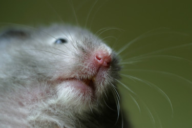 Similar image 1542449