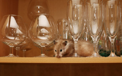 Similar image 1542450