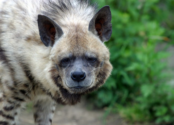 Similar image 1542451