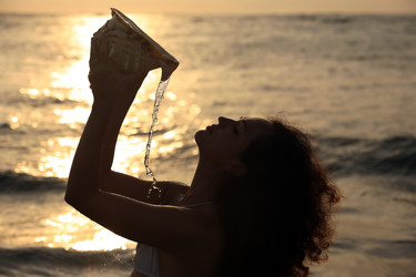 Similar image 1542485