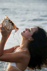 Similar image 1542499