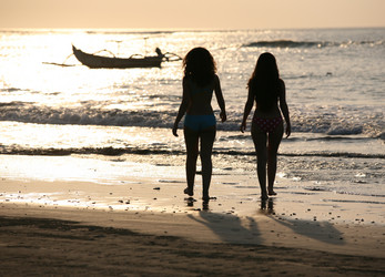 Similar image 1542524