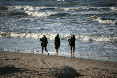 Similar image 1542531