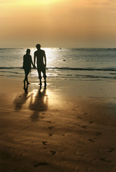 Similar image 1542556