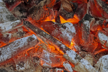 Similar image 1542572