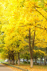 Similar image 1542573