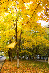 Similar image 1542574