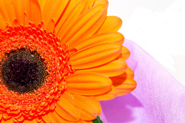 Similar image 1542577