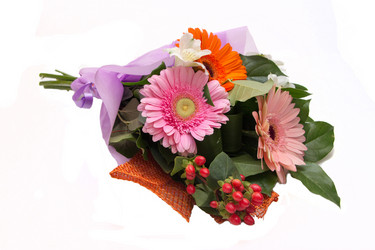 Similar image 1542578