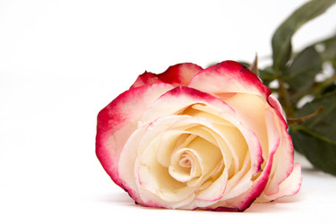 Similar image 1542579