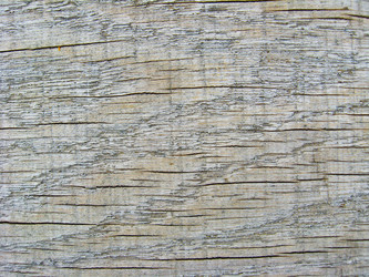 Similar image 1542586