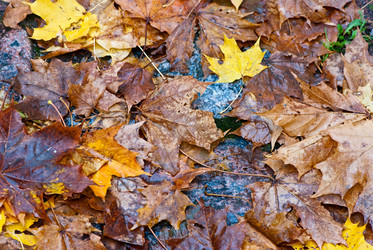 Similar image 1542604