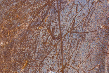 Similar image 1542605