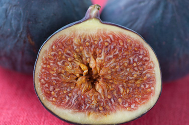 Similar image 1542641