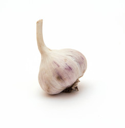 Similar image 1542655