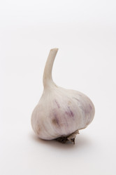 Similar image 1542658