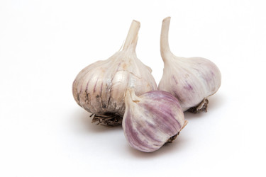 Similar image 1542659