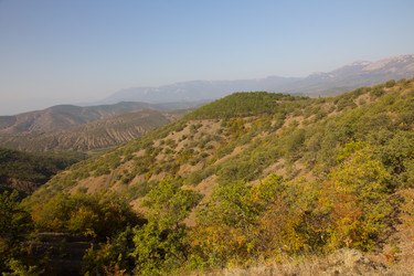 Similar image 1542728